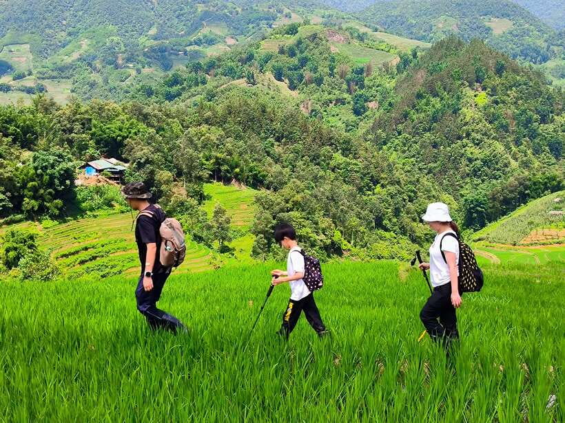 From Hanoi: 2-Day Sapa Trek Tour - Luxury Limousine Transfer - Charm Sapa Hotel or Homestay Night: Comfort in the Cool Mountain Air