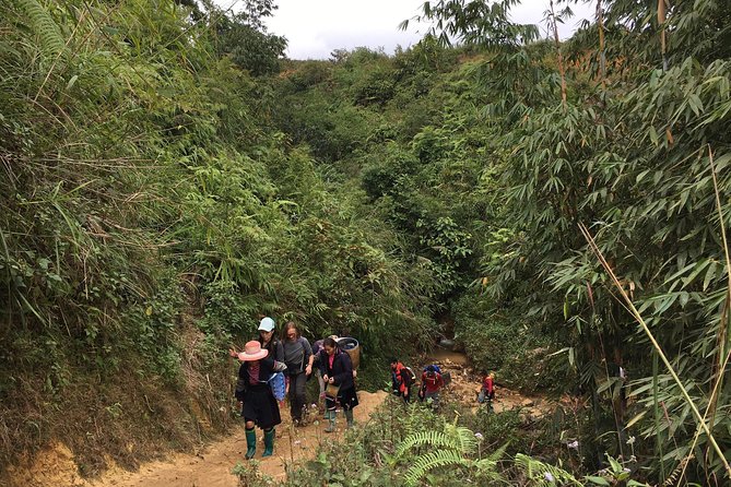 From Hanoi: 3 Days Luxury Sapa Trek & Fansipan Peak with Dcar - Day 2: Cat Cat Village trek, lunch, then your Fansipan decision