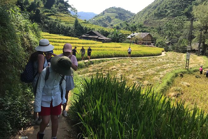 From Hanoi: 3 Days Luxury Sapa Trek & Fansipan Peak with Dcar - Your guides and support team: what names you might hear