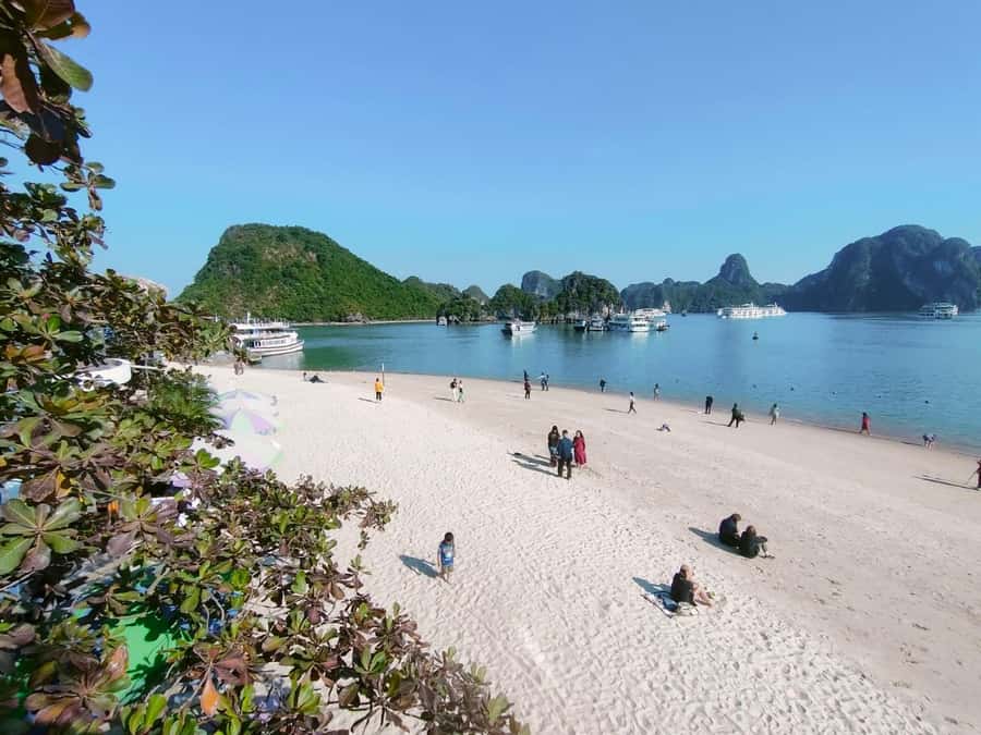 From Hanoi: Ha Long Bay Luxury Day Cruise with Food & Kayak - What to Bring (and What to Skip)