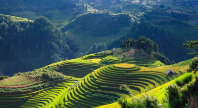 From Hanoi: Premium 3-Day Sapa Adventure with DCAR Limousine - Day 1 Hanoi to Sapa Town + Black Mong Village Walk