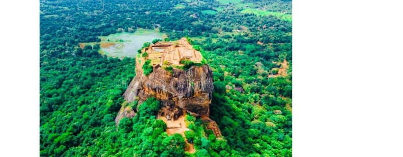 From Kandy: Dambulla to Sigiriya Day Tours by Luxury Car - Wildlife Safari options: Echo Park vs Minneriya costs
