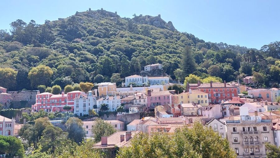 From Lisbon: Sintra Private Tour Full-Day in a Premium Car - Pena National Palace: the mix of styles you can actually see