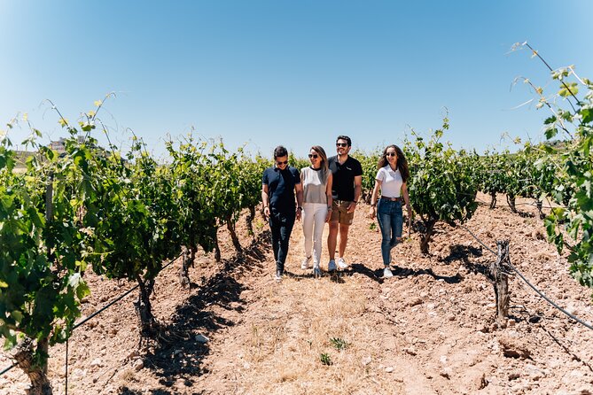From Malaga: Ronda, Wine & Olive Oil Tasting Premium Small Group - Meeting at Plaza Poeta Alfonso Canales and the Direct-Route Ride
