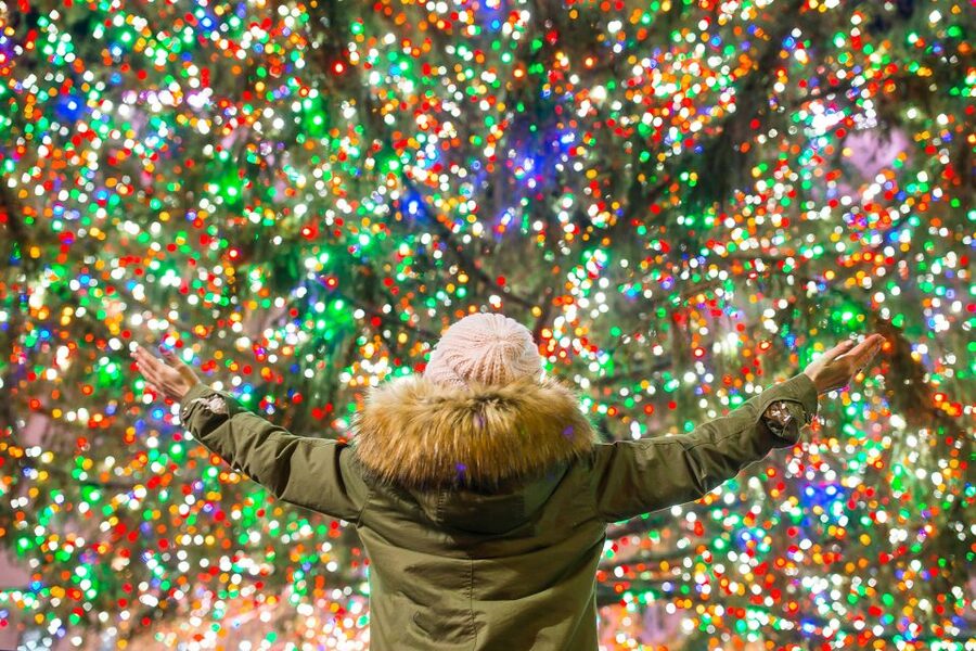 From Manhattan: 4-Hour Christmas Lights Luxury Bus Tour - What Weather Changes (and What Doesn’t)