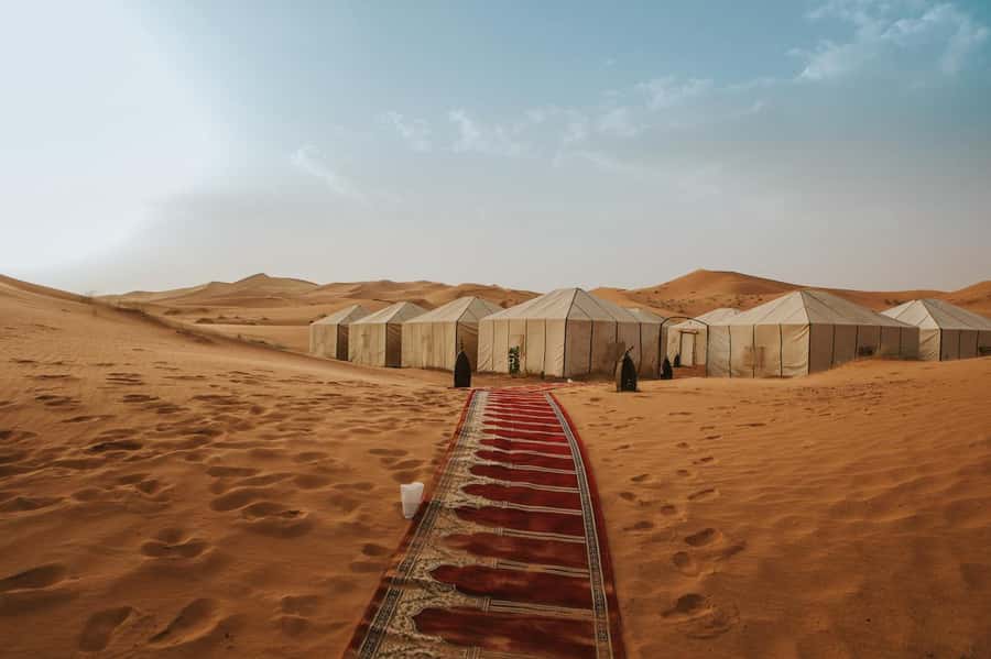 From Marrakech: 3-Day Luxury Desert Tour to Fes via Merzouga - Key highlights worth your attention