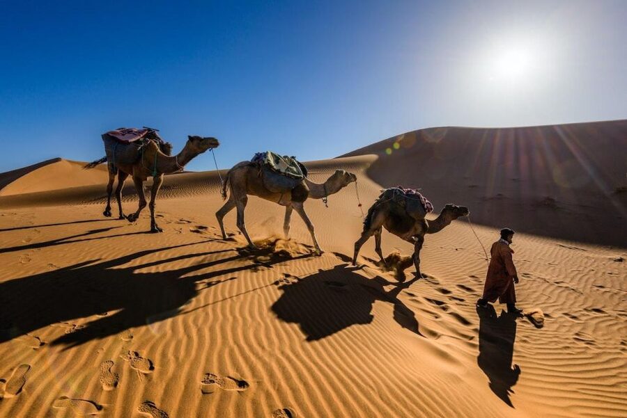 From Marrakech: 3-Day Luxury Desert Tour to Fes via Merzouga - Who this 3-day Marrakech-to-Fes tour suits best