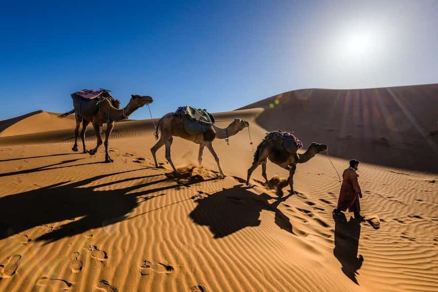 From Marrakech: 3-Day Luxury Desert Tour to Fes via Merzouga - Desert-to-Fes day three: Tizi n Tichka Pass, Ifrane, and Ziz Valley