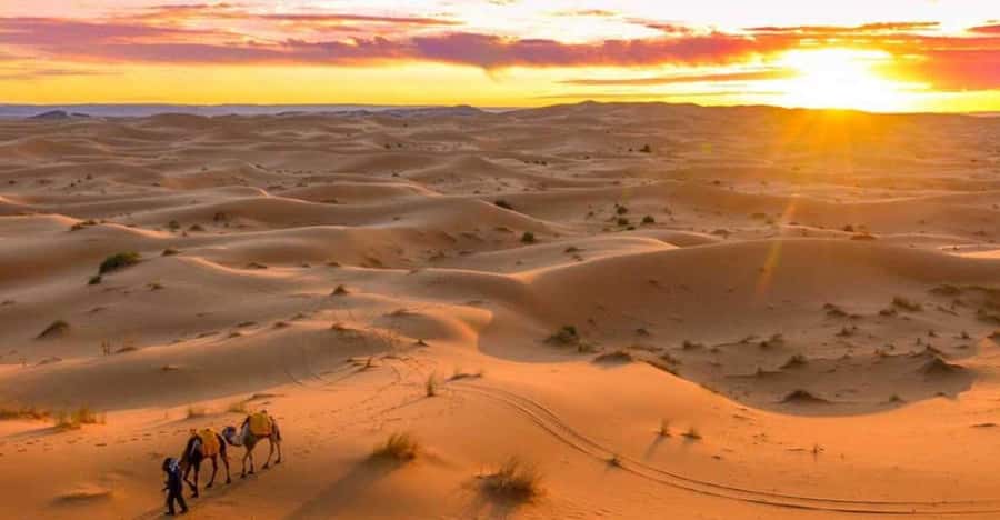 From Marrakech: 3 Days Desert Tour To Merzouga Luxury Camp - Guides and real on-the-ground help