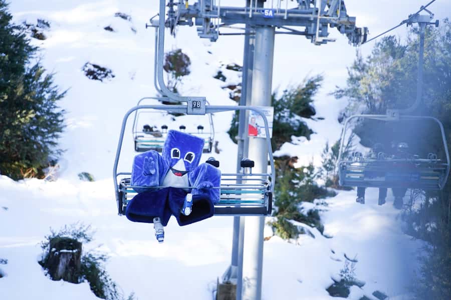 From Melbourne: Day Trip to Mt Buller by Premium Tour Coach - Your 6.5-hour Mt Buller window: a self-guided snow day that works