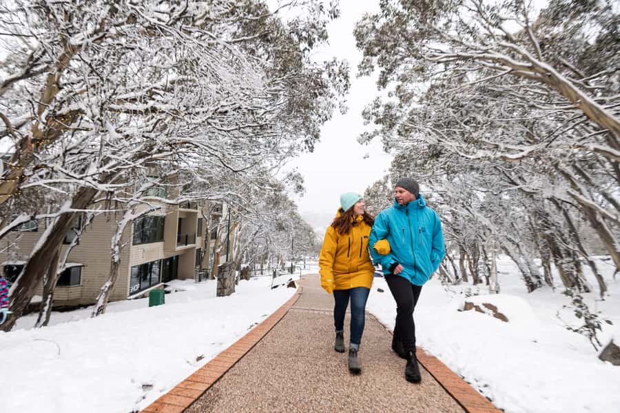 From Melbourne: Day Trip to Mt Buller by Premium Tour Coach - Skiing and snowboard planning: lifts, terrain parks, and lift-ticket reality