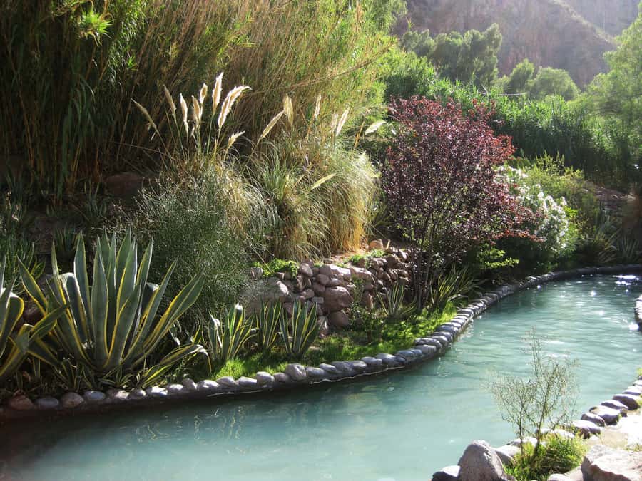 From Mendoza: Premium Spa Day at the Cacheuta Hot Springs - Crowds, Cleanliness, and the One Thing You Should Sanity-Check on Arrival