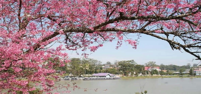 From Nha Trang: Best Seller Top Site Luxury Da Lat City Trip - The long (but scenic) ride from Nha Trang into Da Lat