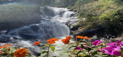From Nha Trang: Best Seller Top Site Luxury Da Lat City Trip - Bao Dai King Palace: where Vietnam’s last emperor lived
