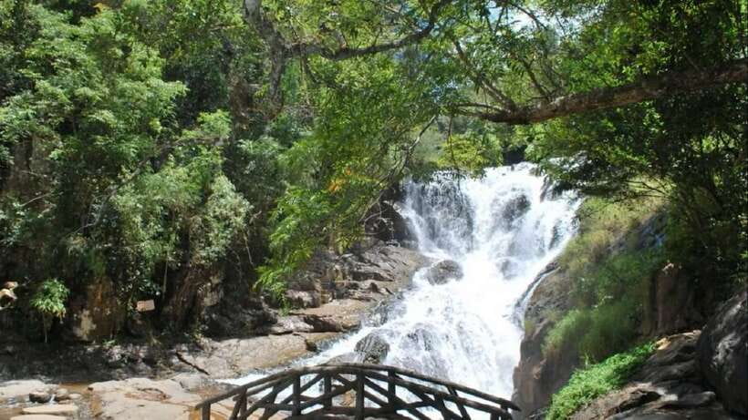 From Nha Trang: Best Seller Top Site Luxury Da Lat City Trip - Crazy House: organic architecture that feels like a fantasy blueprint