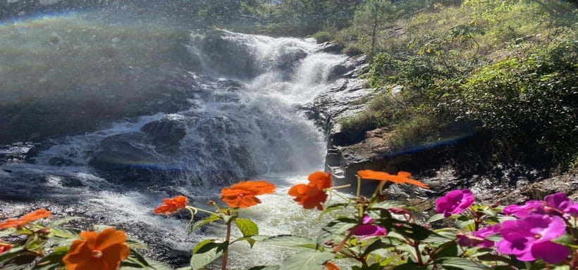 From Nha Trang: Best Seller Top Site Luxury Da Lat City Trip - Bao Dai King Palace: where Vietnam’s last emperor lived