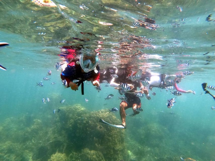 From Phuket: Phi Phi, Maya Bay, & Khai Islands Premium Trip - Monkey Beach Rules: See the Monkeys, But Don’t Walk In