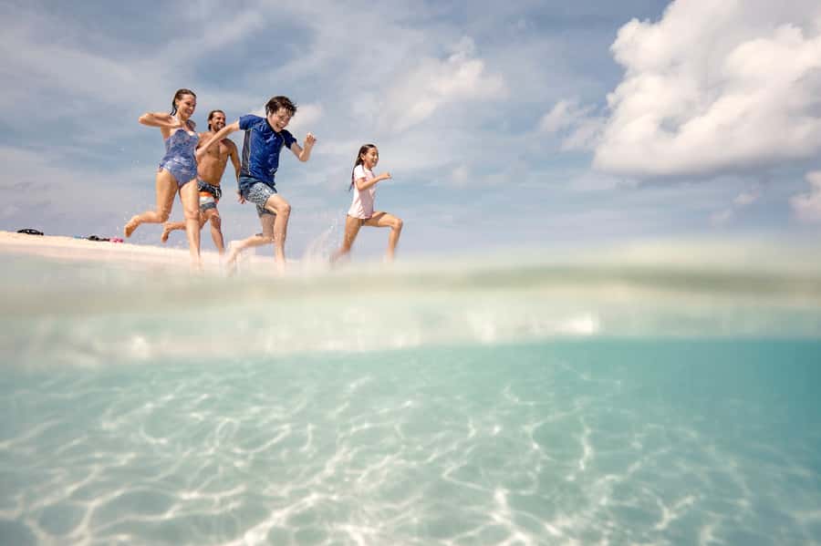 From Port Douglas: Outer Reef Cruise by Luxury Catamaran - Port Douglas morning: starting at 7:30am with purpose