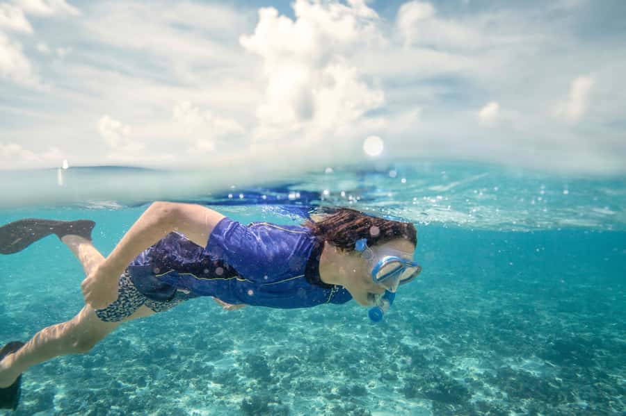 From Port Douglas: Outer Reef Cruise by Luxury Catamaran - Reef interpretation and the marine biologist: knowing what you’re looking at