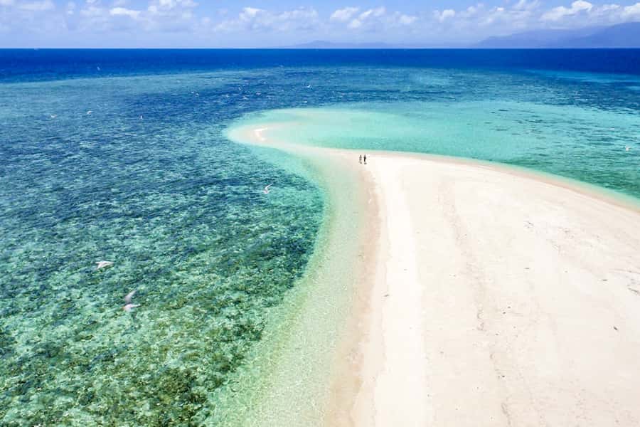From Port Douglas: Outer Reef Cruise by Luxury Catamaran - Coral cay time: exploring above the reef and swimming in turquoise water