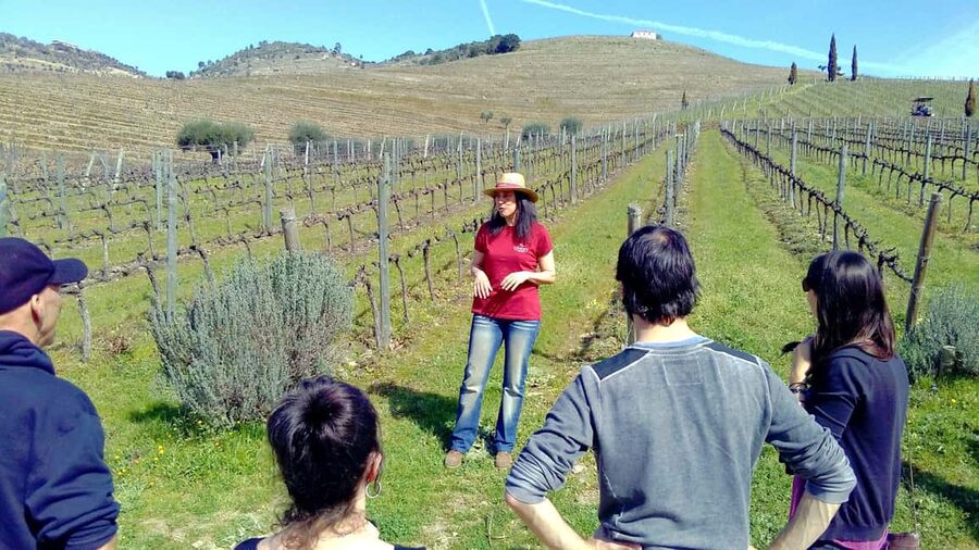 From Porto: Premium Douro Valley 4 Vineyards Tour with Lunch - Key Highlights You’ll Actually Feel On This Tour