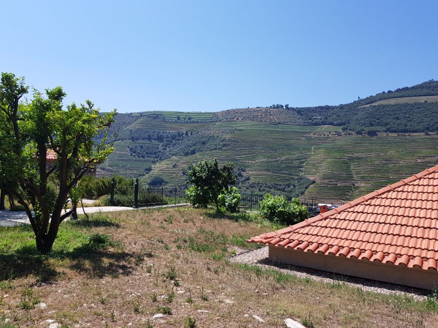 From Porto: Premium Douro Valley 4 Vineyards Tour with Lunch - The Wine and Food You’ll Actually Taste