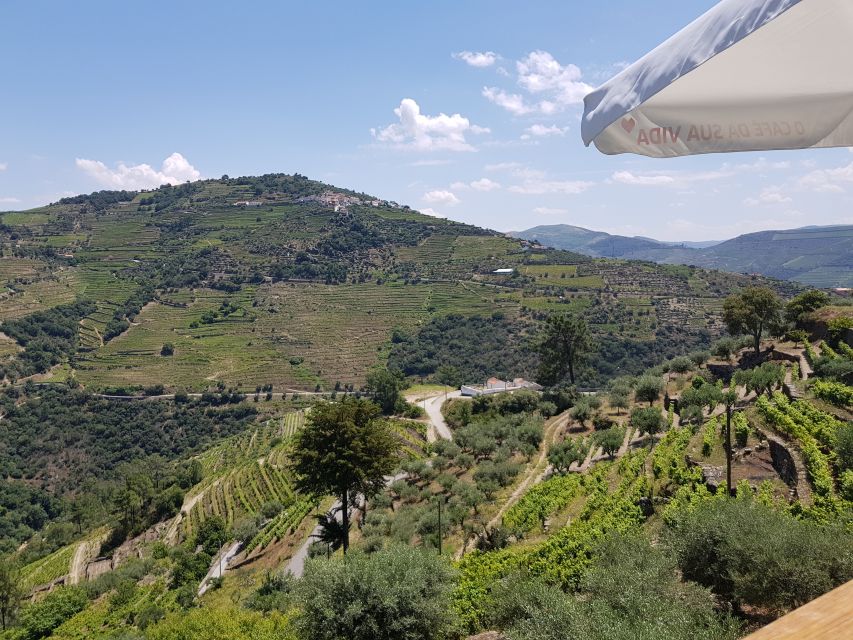 From Porto: Premium Douro Valley 4 Vineyards Tour with Lunch - Second Winery Stop: Olive Oil and Ports Enter the Mix