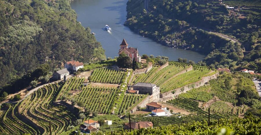 From Porto: Premium Douro Valley Small-Group Wine Tour - Key things you’ll notice on this Douro tour