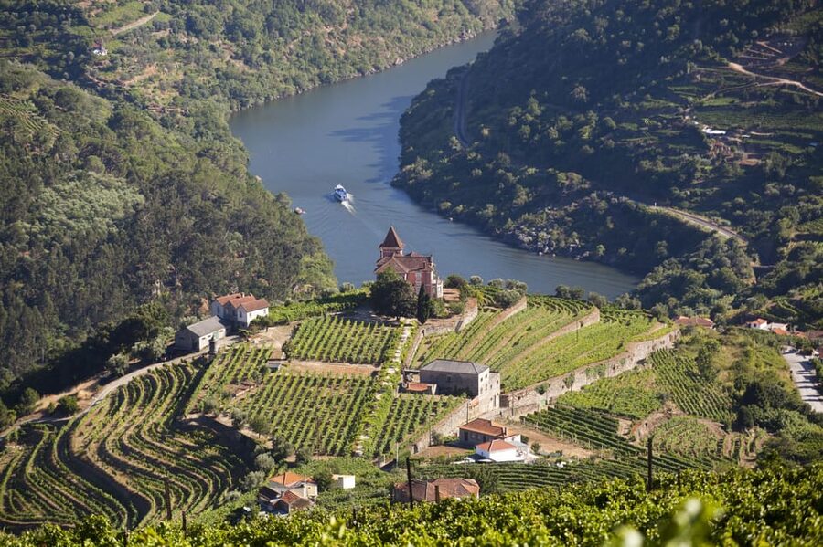 From Porto: Premium Douro Valley Small-Group Wine Tour - Practical tips for a smoother day (especially if you’re prone to motion sickness)