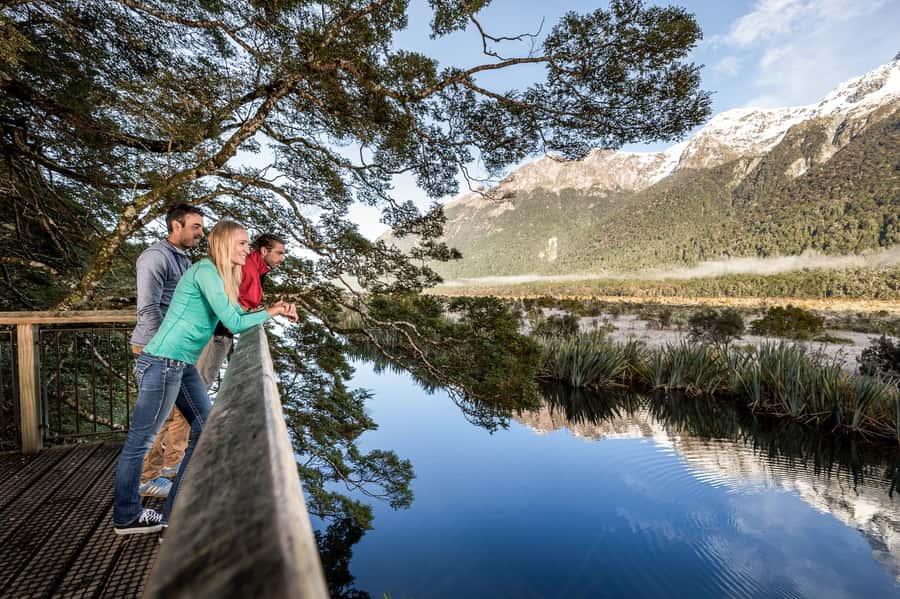From Queenstown: Milford Sound Day Trip on Premium Coach - Why the Queenstown to Milford Sound drive feels manageable