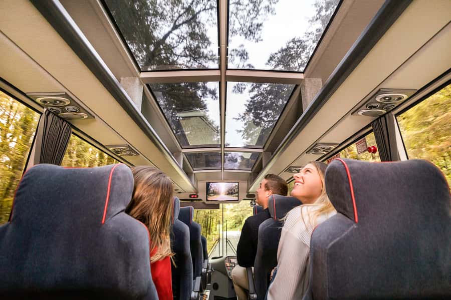 From Queenstown: Milford Sound Day Trip on Premium Coach - Premium coach perks: glass roof, USB charging, and real-time narration