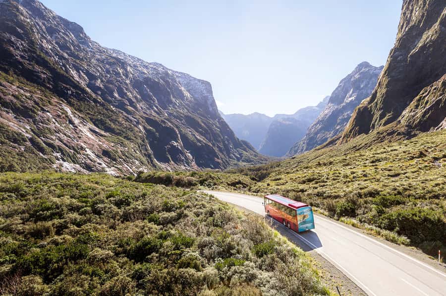 From Queenstown: Milford Sound Day Trip on Premium Coach - Food and drinks: what’s included, what’s optional, and what I’d do