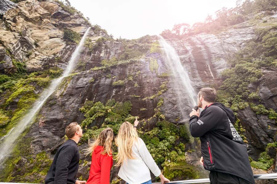 From Queenstown: Milford Sound Day Trip on Premium Coach - Should you book this Milford Sound day trip from Queenstown?