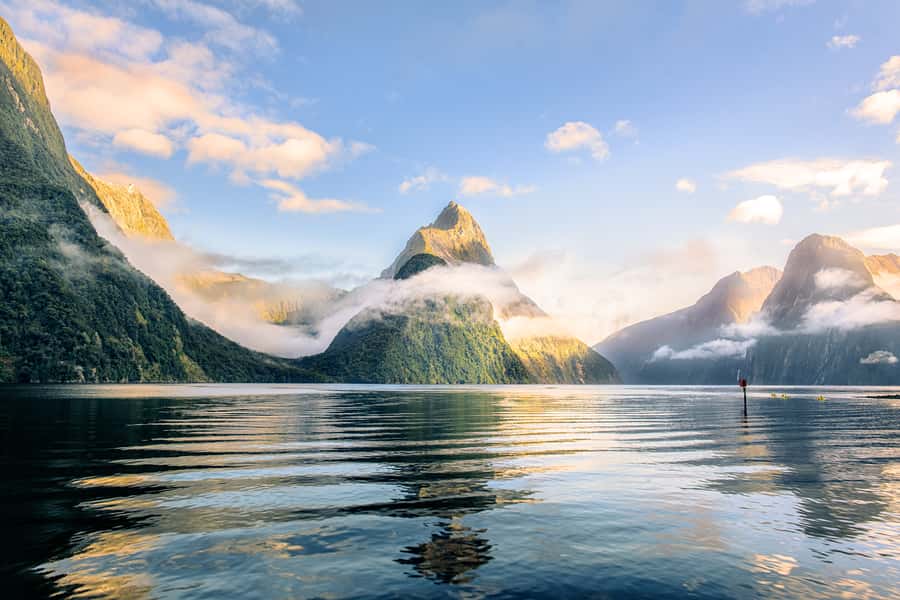 From Queenstown: Milford Sound Premium Day Tour and Cruise - Key highlights you’ll feel from start to finish