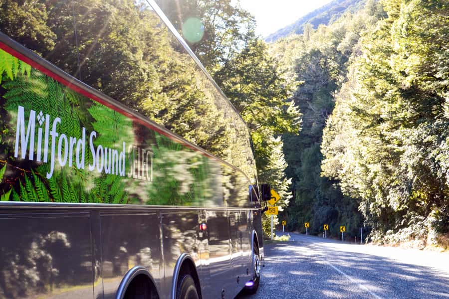 From Queenstown: Milford Sound Premium Day Tour and Cruise - Mirror Lakes stop: a short walk that changes how you see the journey
