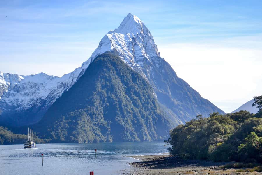 From Queenstown: Milford Sound Premium Day Tour and Cruise - Milford Sound cruise: waterfalls, dolphins, seals, and why rain helps