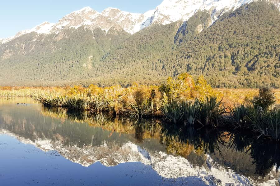 From Queenstown: Milford Sound Premium Day Tour and Cruise - Where to sit on the boat: saloon comfort vs deck views