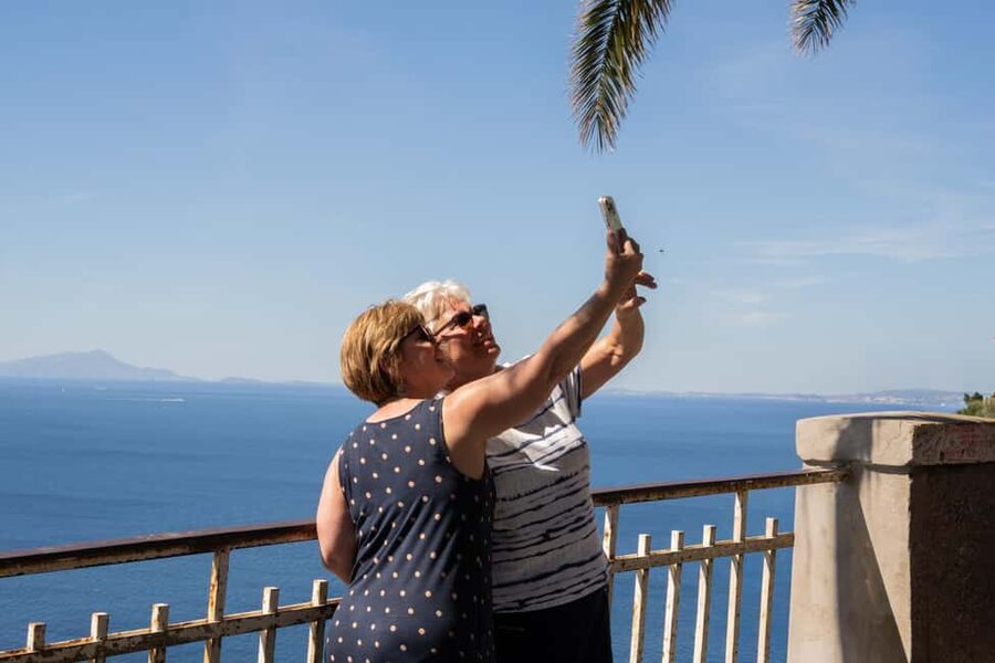 From Rome: Luxury Van Day Trip to Pompeii & Sorrento Lunch - Limoncello and lemon sorbet: the sweet side trip (if it’s on that day)