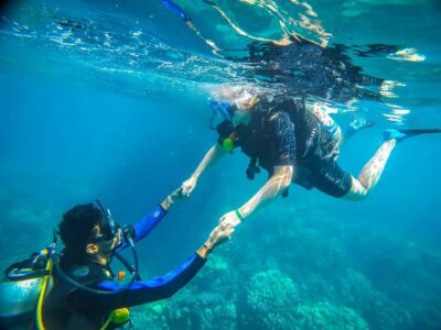 From Sharm: Luxury Diving cruise to Ras Mohammed with Lunch - The 6-hour rhythm: pickup, boat time, and your in-between breaks