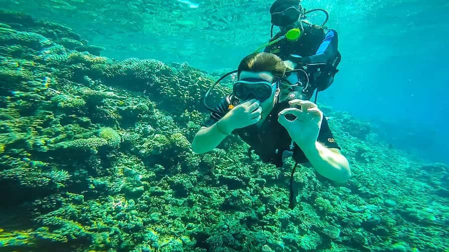 From Sharm: Luxury Diving cruise to Ras Mohammed with Lunch - Snorkeling and the surface interval: the underrated part of the day