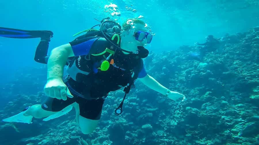 From Sharm: Luxury Diving cruise to Ras Mohammed with Lunch - Reef etiquette and safety reality: what you can control