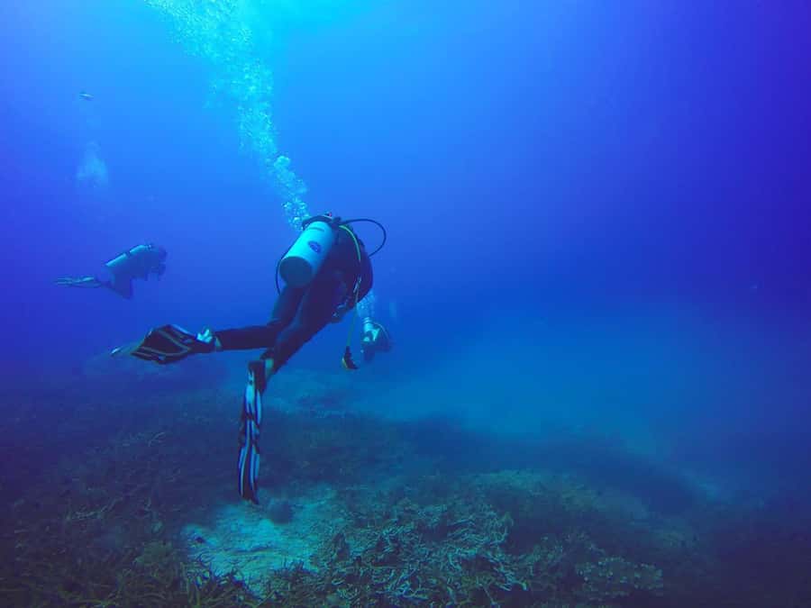 From Sharm: Luxury Diving cruise to Ras Mohammed with Lunch - Price and value: what $54 really buys (and the extra marina fee)