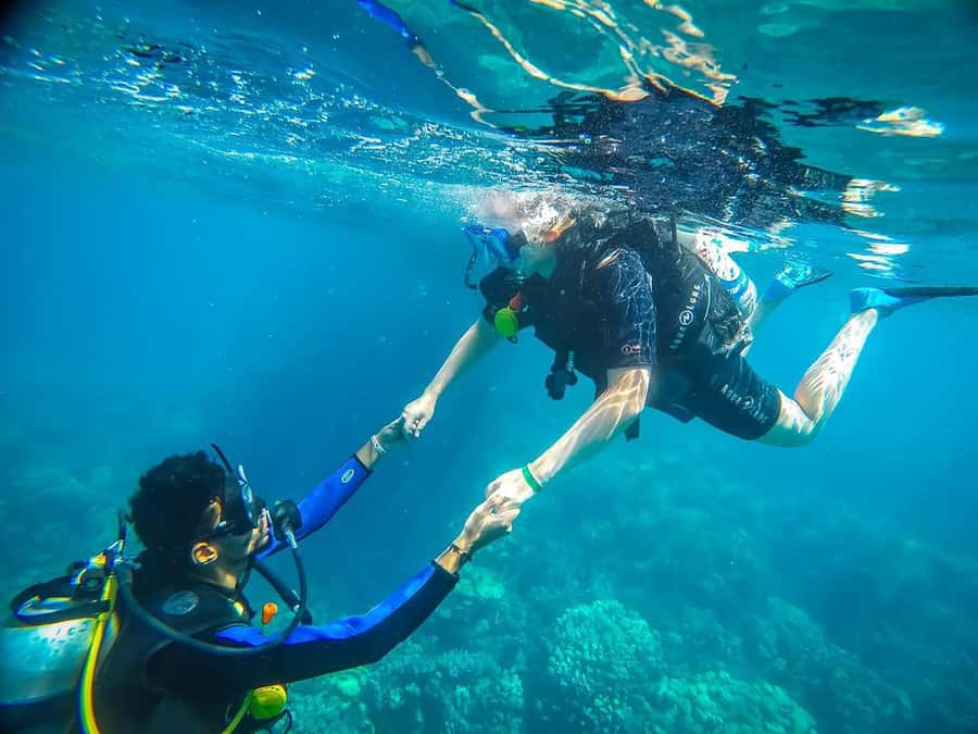 From Sharm: Luxury Diving cruise to Ras Mohammed with Lunch - The 6-hour rhythm: pickup, boat time, and your in-between breaks