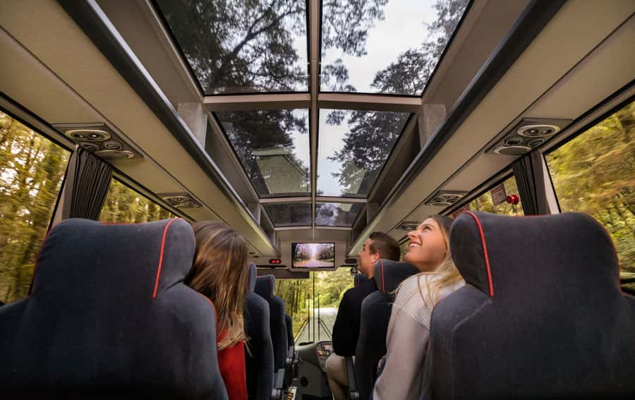 From Te Anau: Milford Sound Premium Bus Tour and Cruise - Key things you’ll notice on this Te Anau to Milford Sound day trip