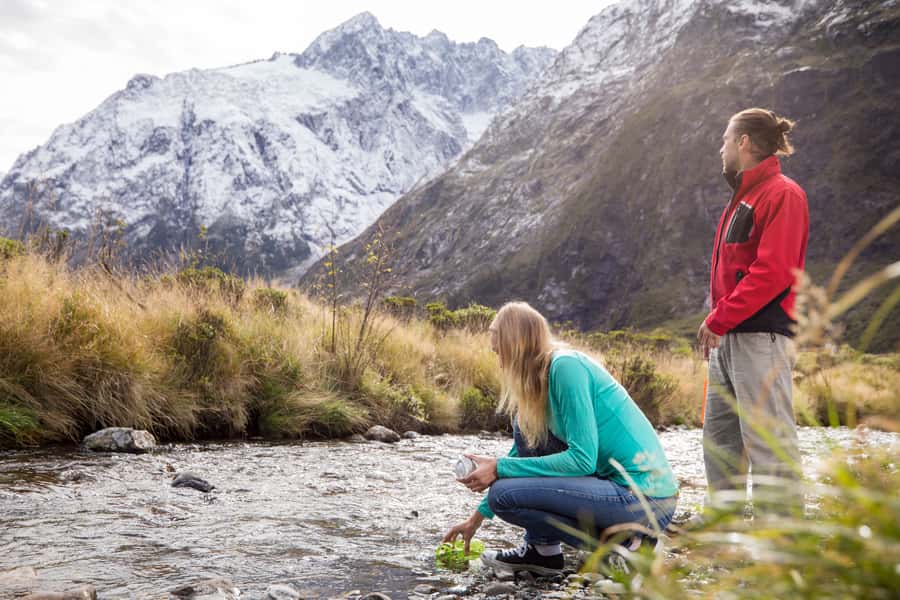 From Te Anau: Milford Sound Premium Bus Tour and Cruise - The Milford Sound nature cruise: waterfalls, cliffs, and wildlife scanning