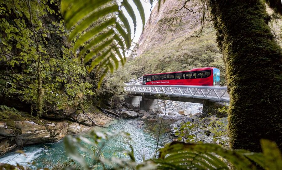 From Te Anau: Milford Sound Premium Bus Tour and Cruise - What to bring (and one small rule that saves headaches)
