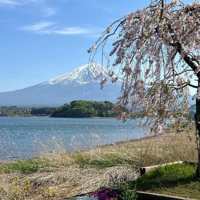 From Tokyo: Mt Fuji Private Day Tour In Luxury Land Cruiser - A practical strategy for seeing Mount Fuji when clouds move