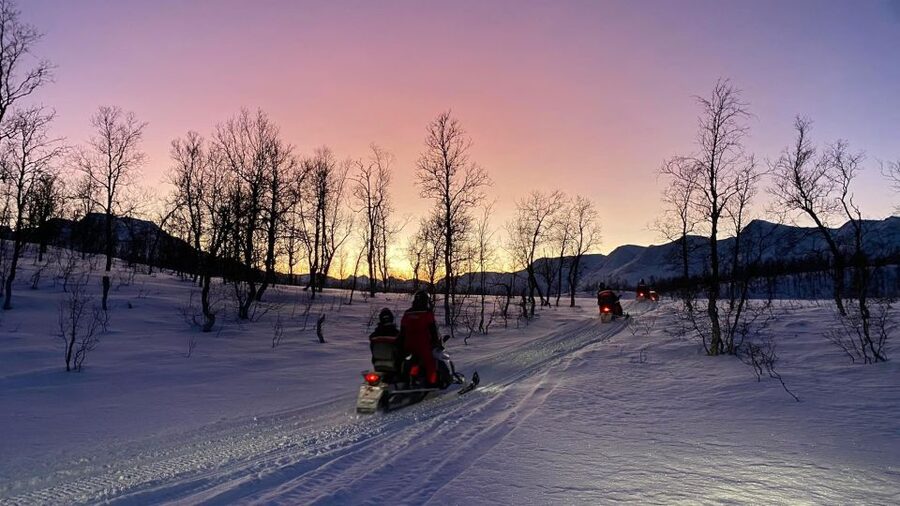 From Tromso: Eco Luxury Snowmobile Adventure to Lyngen Alps - The snowmobile safari in the Lyngen Alps: practice, pace, and conditions