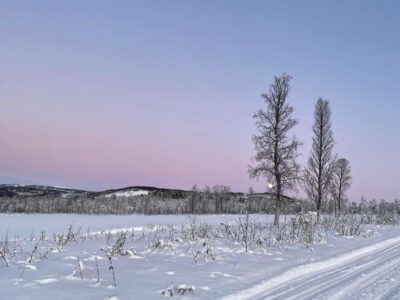 From Tromso: Eco Luxury Snowmobile Adventure to Lyngen Alps - Getting from Tromsø to Camp Troll: bus and ferry timing that matters