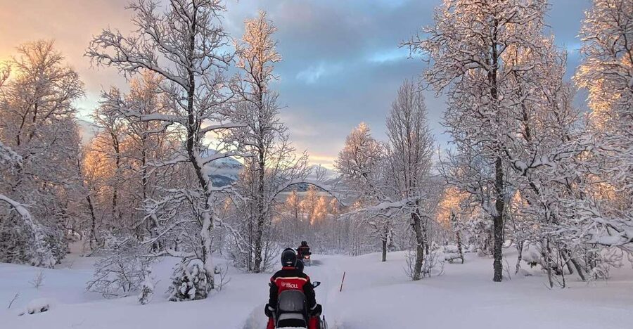 From Tromso: Eco Luxury Snowmobile Adventure to Lyngen Alps - Practical tips so your day feels smooth (not stressful)